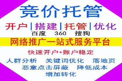 案例分享：SEM广告投放助力电商增长